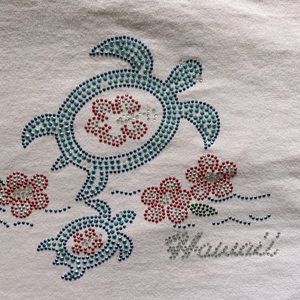 Hawaii pink sparkle top